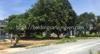 MUA ĐẤT CẦN NHỮNG THỦ TỤC GÌ? BÀI 43